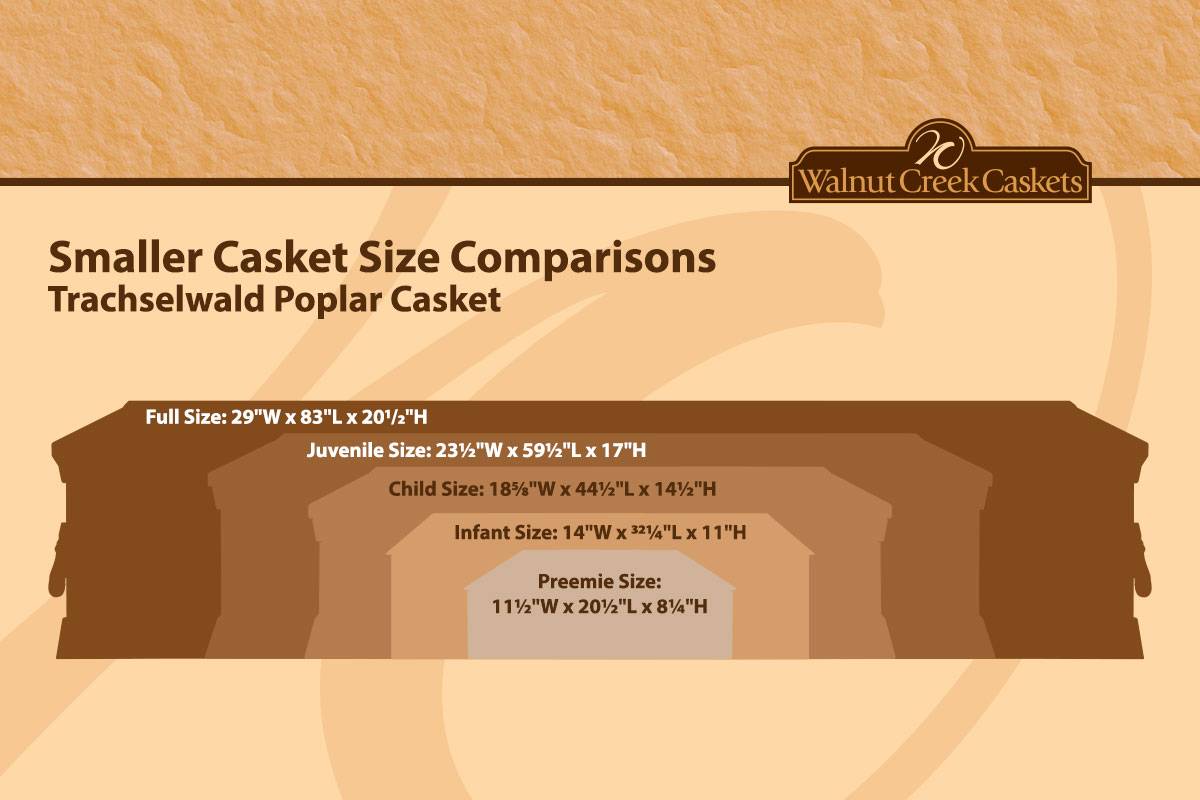 Size Comparisons