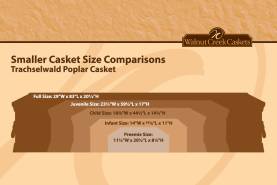 Size Comparisons